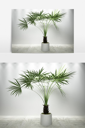 园艺植物景观3D模型