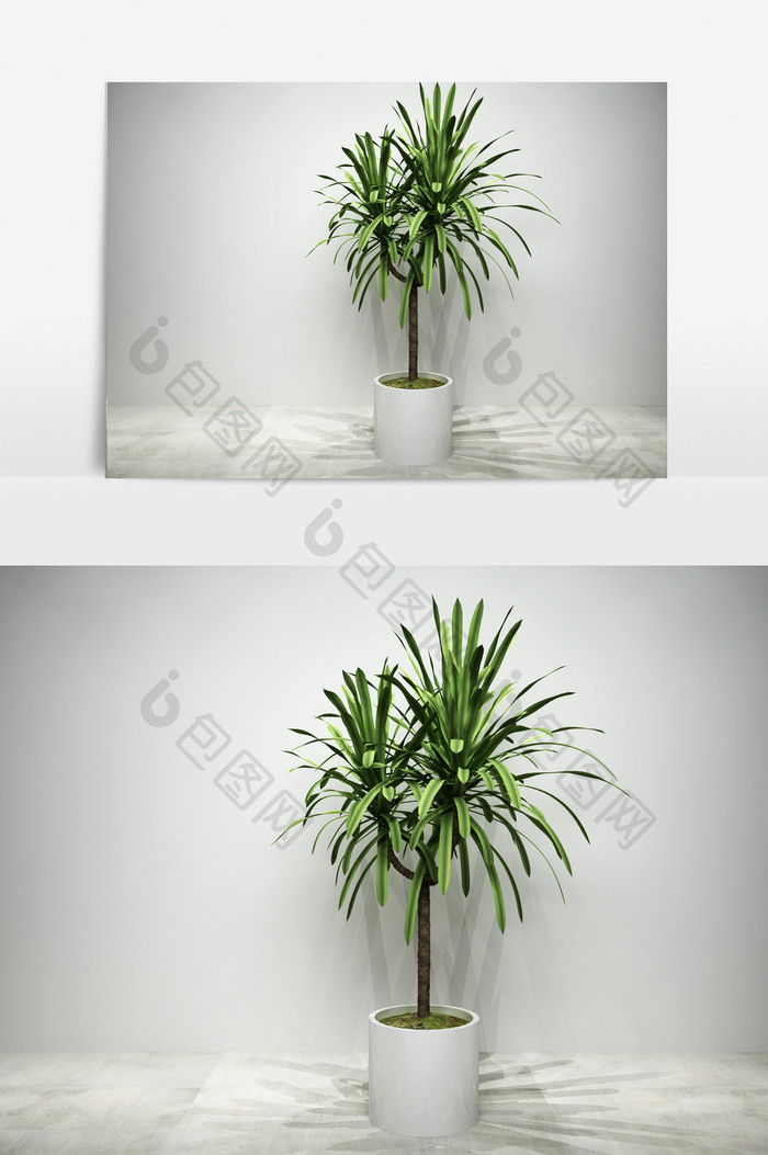 绿化园艺植物3D模型