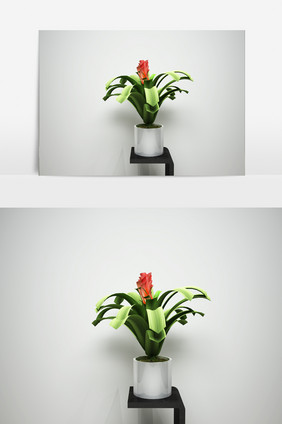 兰花园艺景观植物3D模型