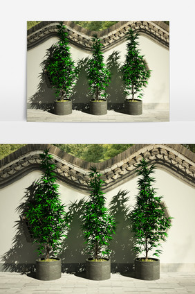 街道园艺绿化景观植物3D模型