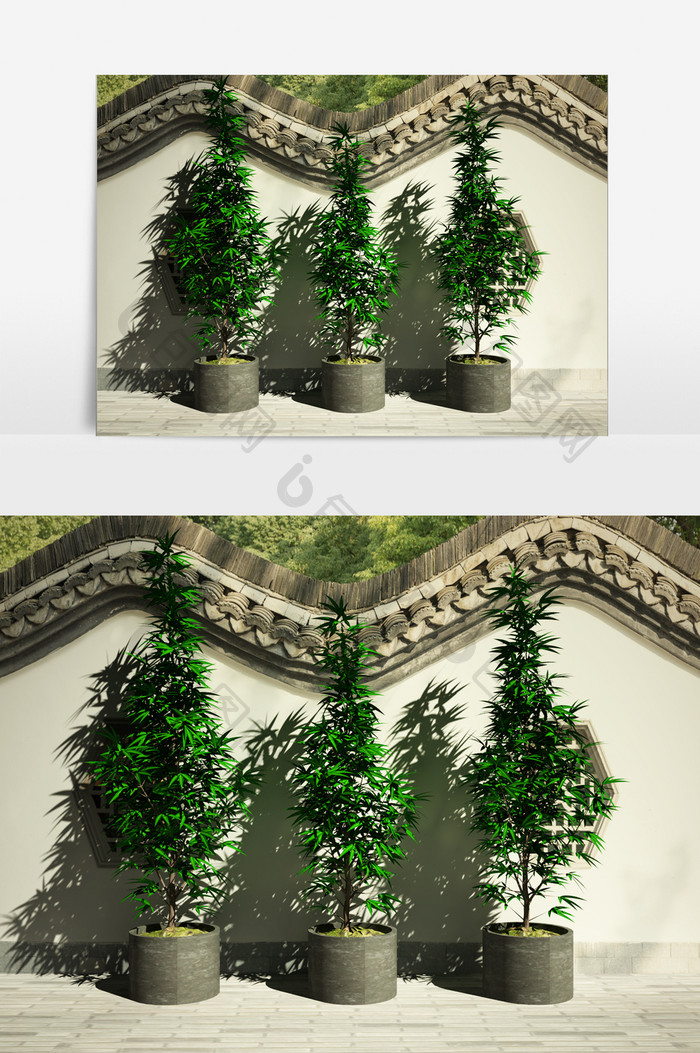 街道园艺绿化景观植物3D模型