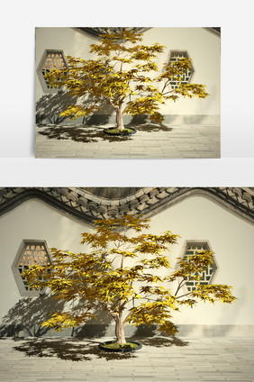 枫叶树园艺景观绿化植物3D模型