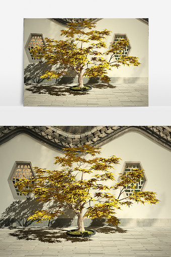 枫叶树园艺景观绿化植物3D模型图片