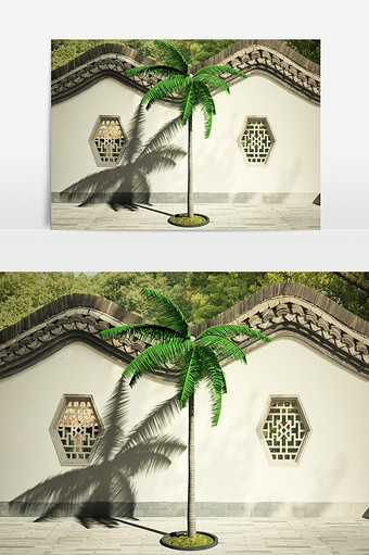大王椰树景观植物3D模型图片