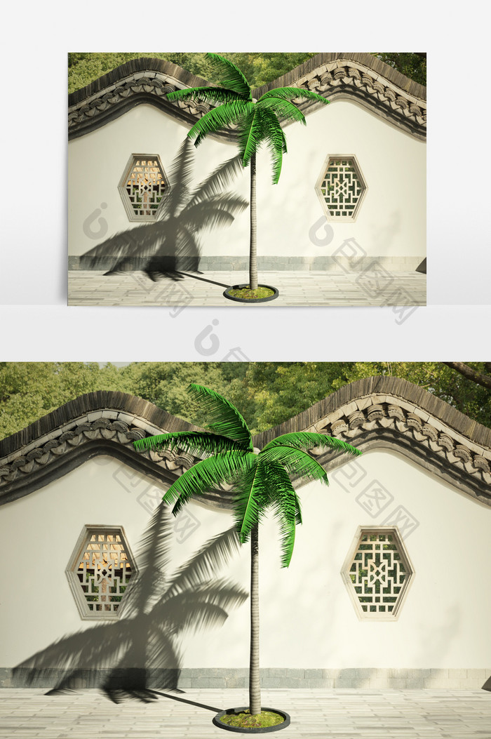 大王椰树景观植物3D模型