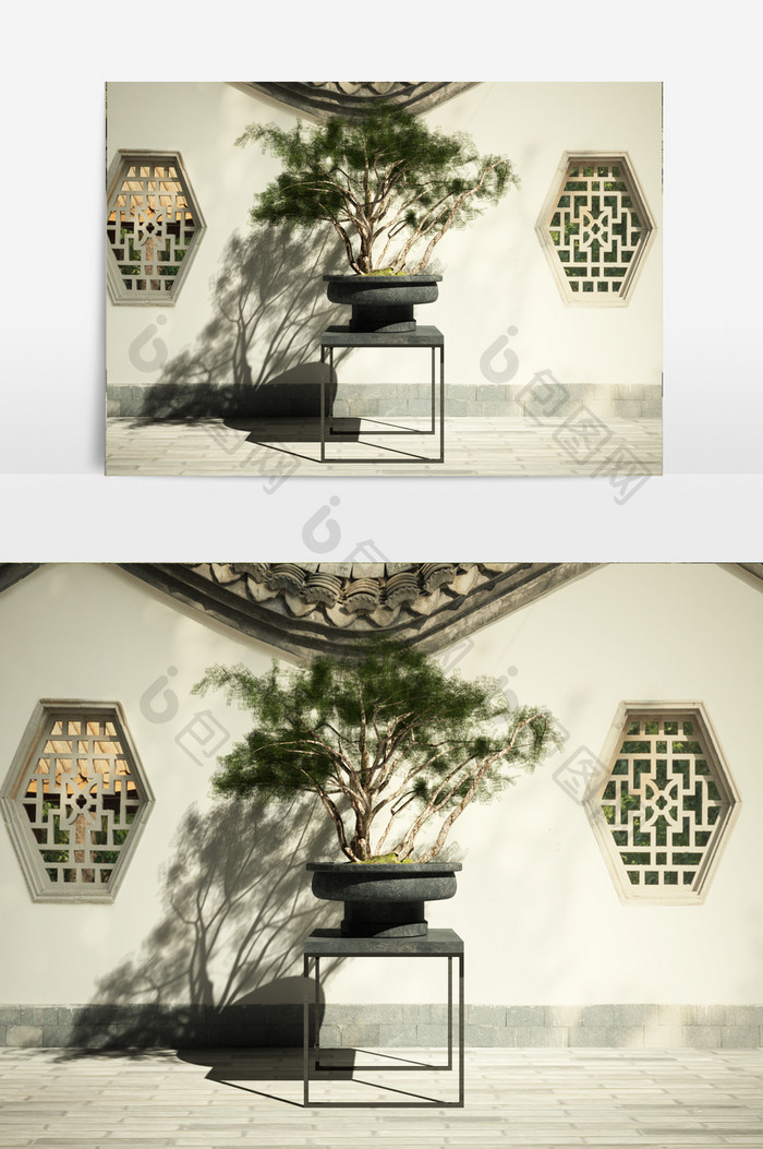 美人松盆栽景观植物3D模型