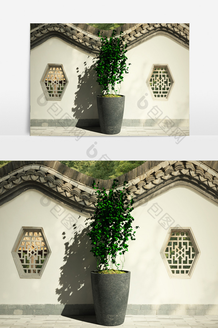 景观盆栽园艺植物3D模型
