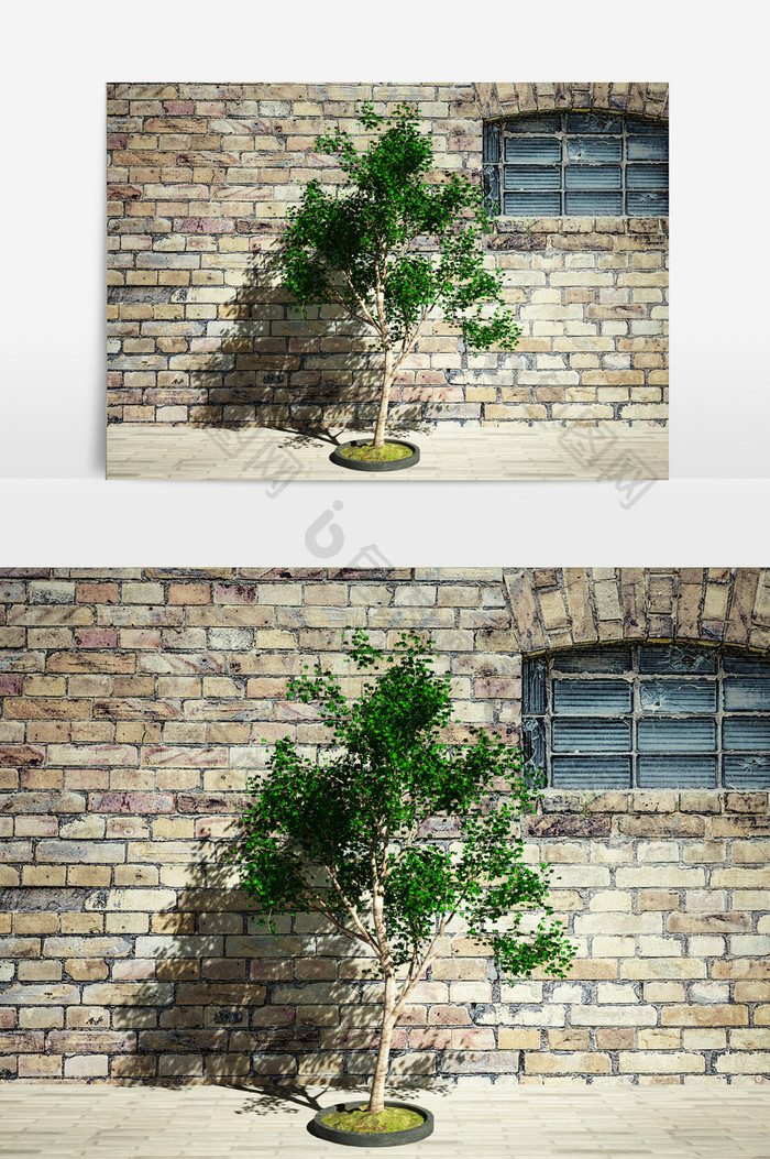 街景植物景观园艺3D模型