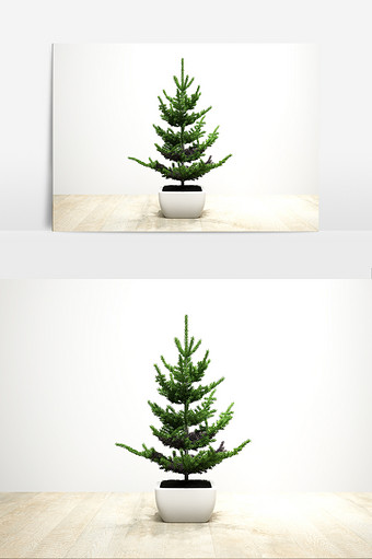 罗汉松树模型效果图片
