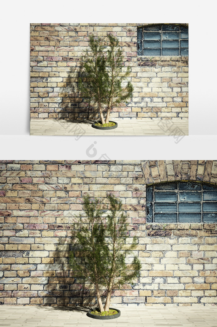 街景松树绿化植物景观园艺3D模型