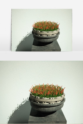 盆栽鲜花园艺植物3D模型