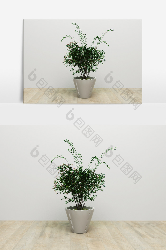 观赏植物模型效果