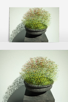 小草绿化植物3D模型