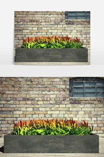 街道绿化植物3D模型图片