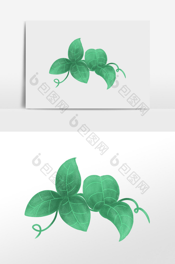 绿色小清新装饰植物