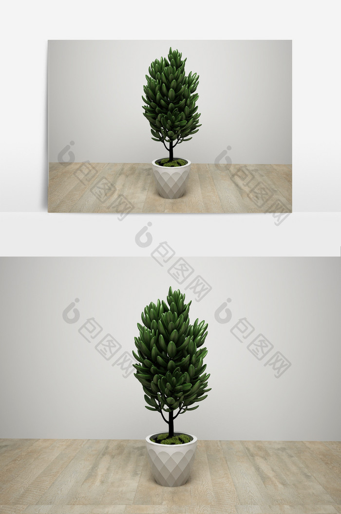 观赏树模型3D效果