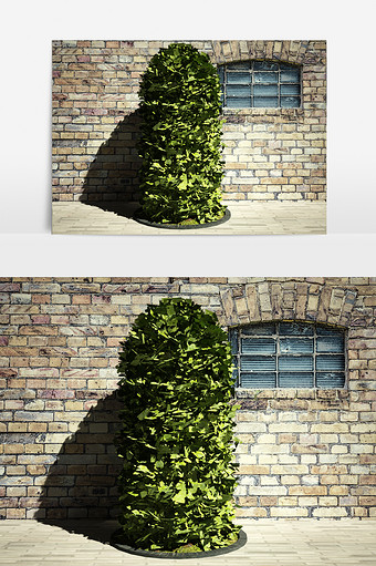 园艺景观绿化植物3D模型图片