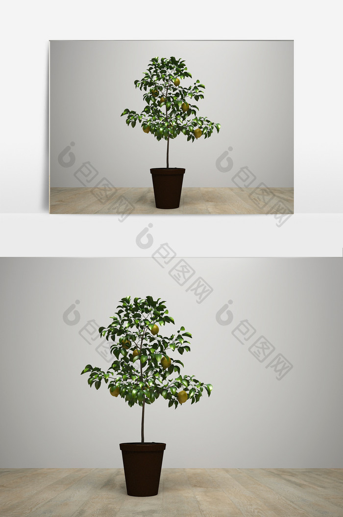 柠檬树盆栽模型