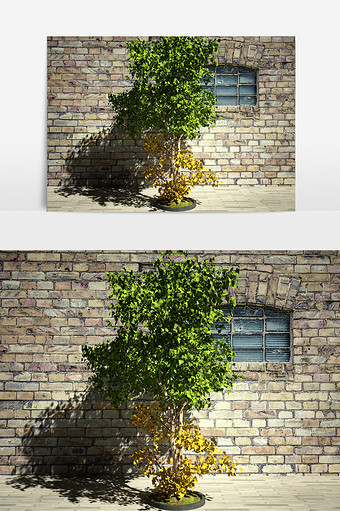 街景植物景观3D模型图片
