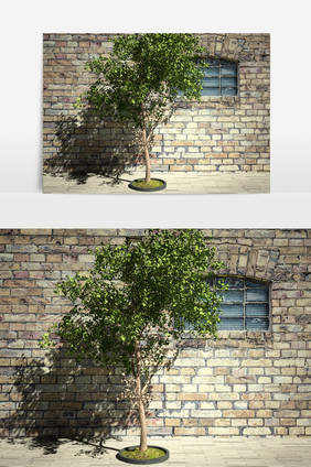 街景植物园艺绿化3D模型