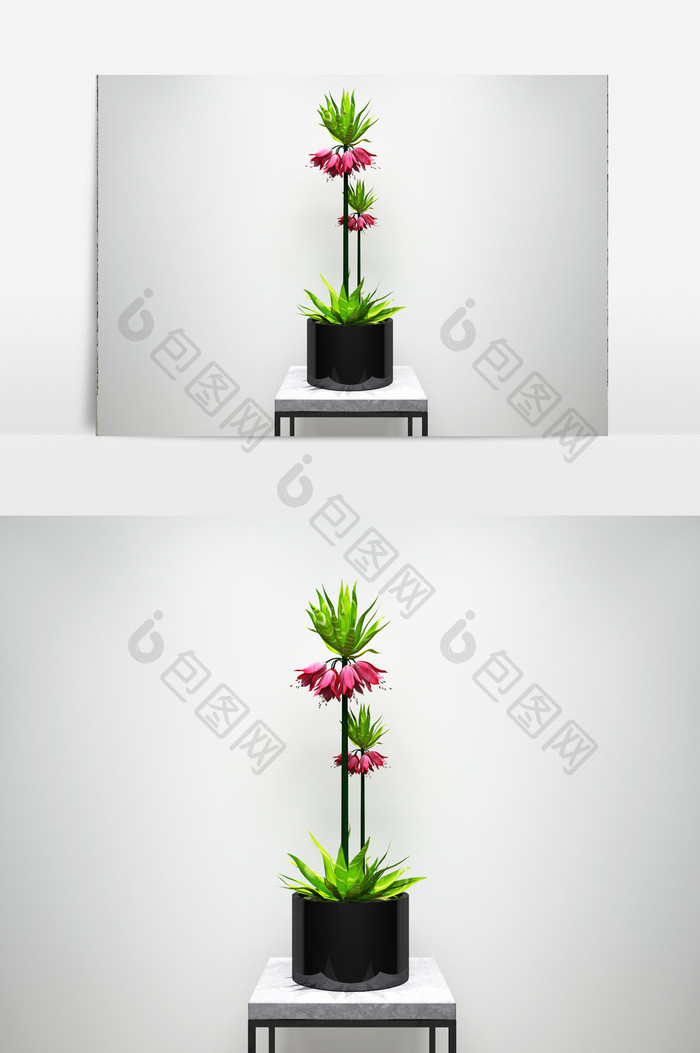 兰花植物园艺景观3D模型