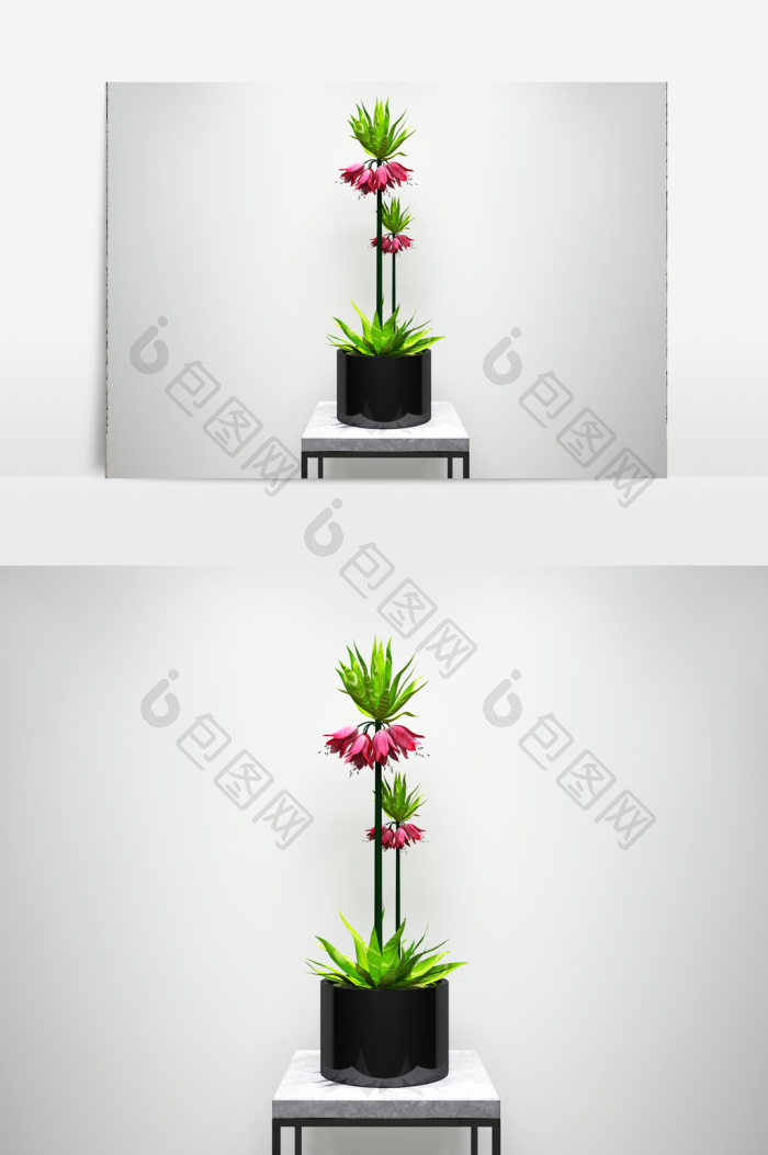 【兰花植物园艺景观3d模型】图片下载-包图网