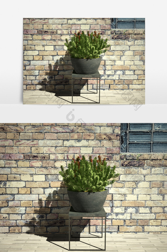 盆栽植物景观园艺3D模型