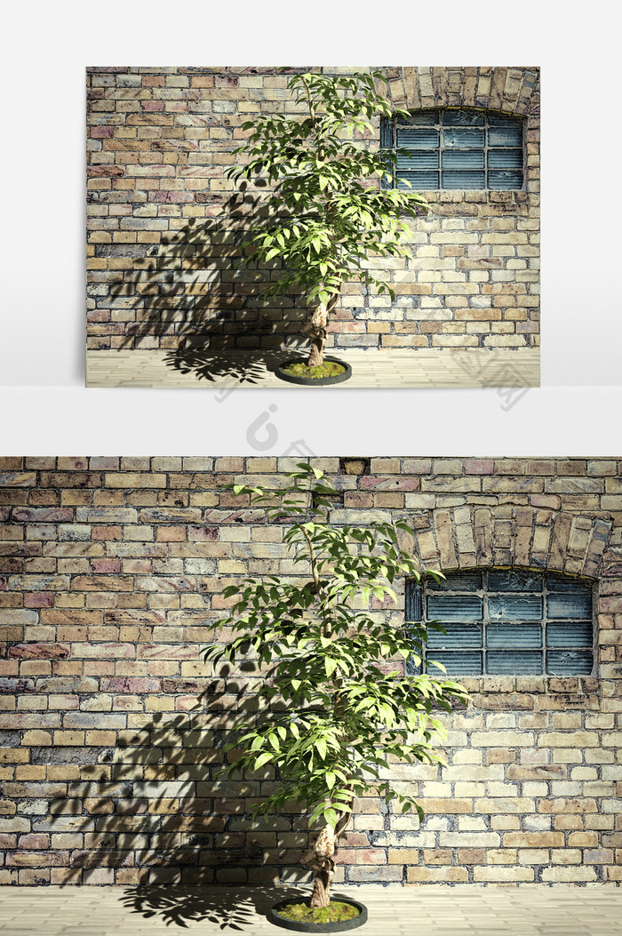 街景绿化植物树木3D模型