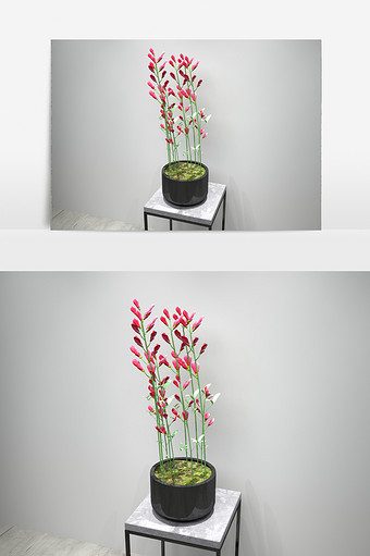 室内鲜花园艺3D植物模型图片