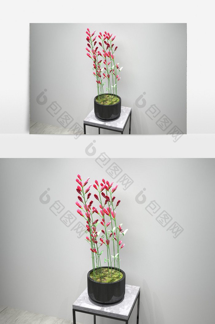 室内鲜花园艺3D植物模型