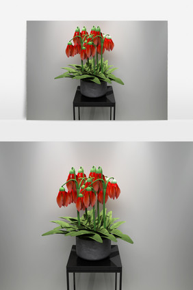 园艺鲜花植物3D模型