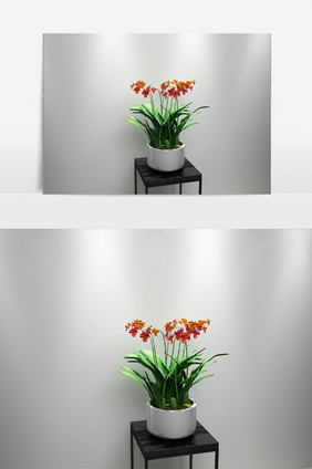 室内鲜花模型景观3D模型