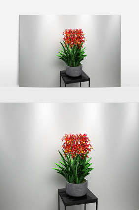 兰花植物园艺3D模型