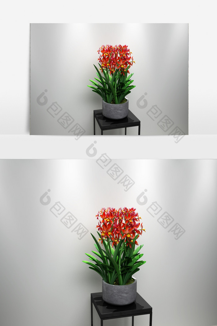 兰花植物园艺3D模型