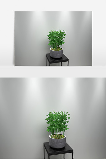 室内园艺植物景观3D模型图片