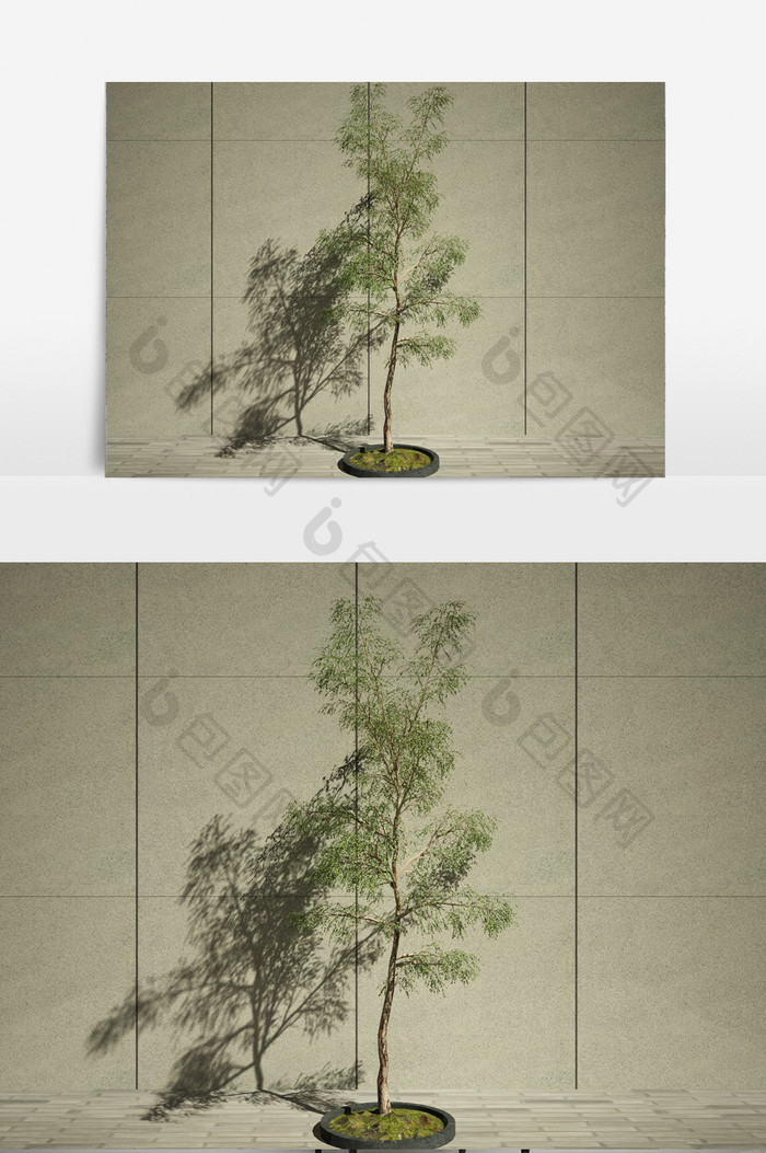 街景园艺绿化植物3D模型