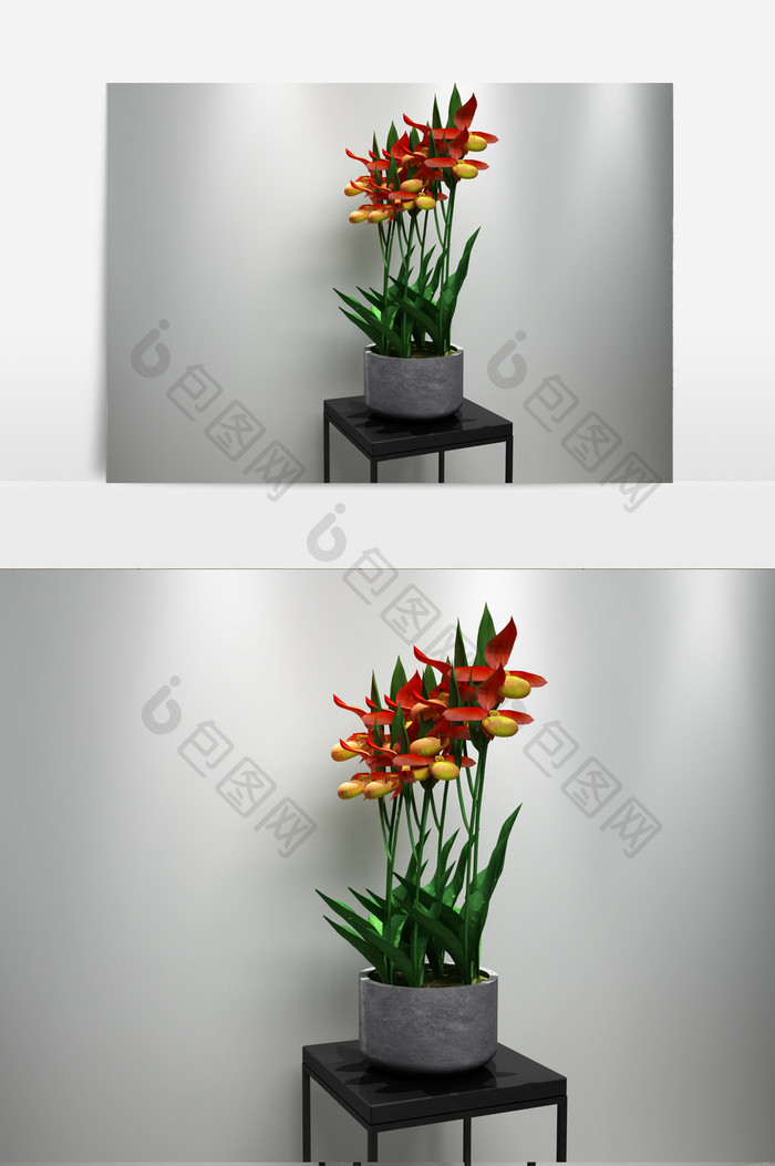 兰花景观园艺植物3D模型