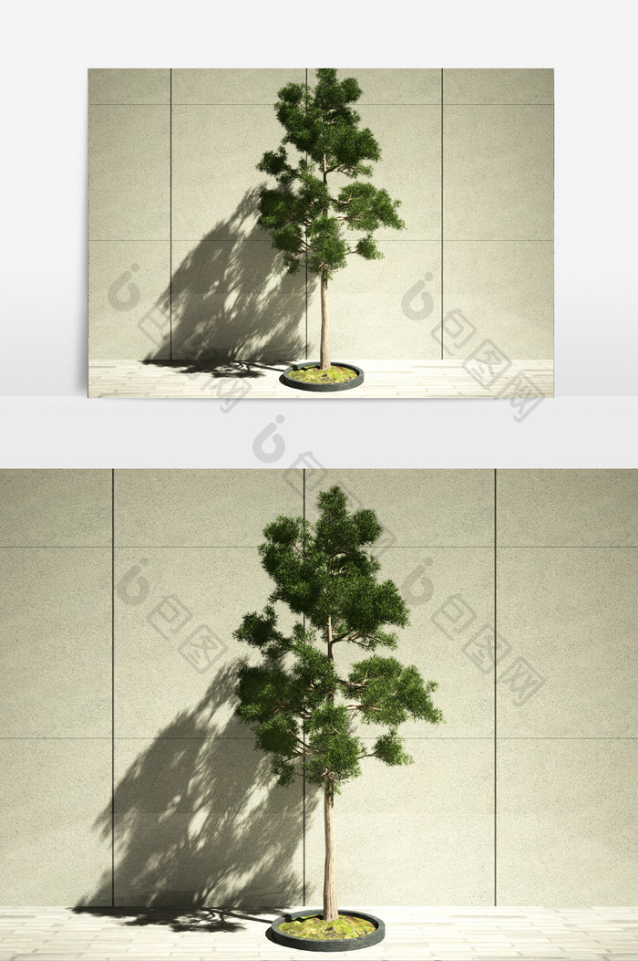 街景绿化园艺树木植物3D模型