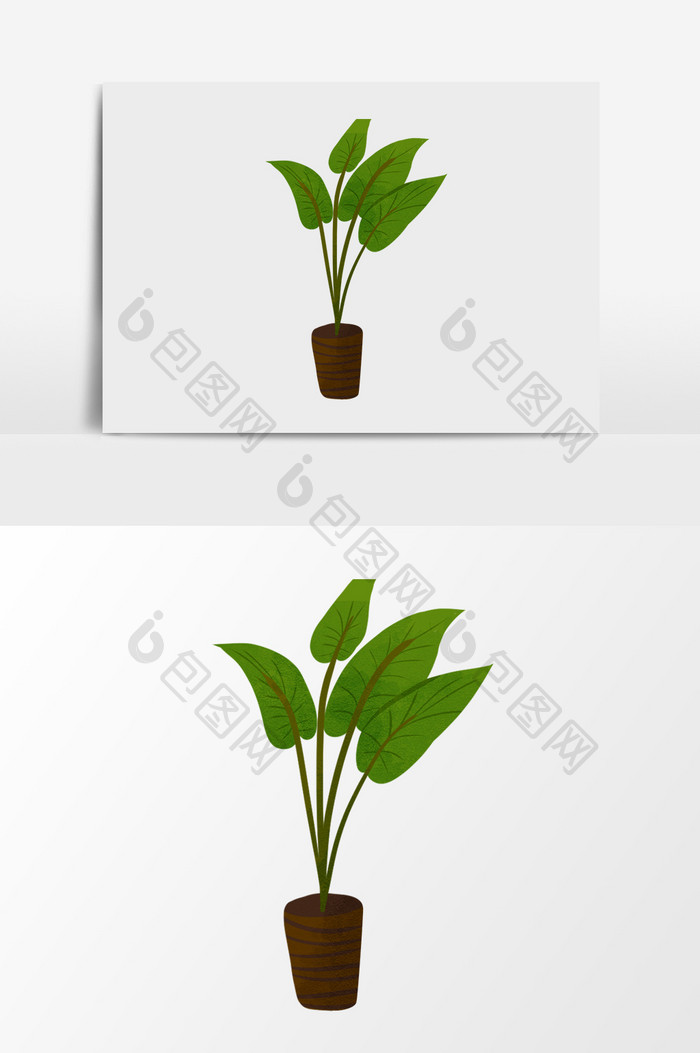 植物叶子盆栽素材 图片下载 包图网 植物叶子盆栽素材 图片下载 包图网