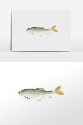 清新写实手绘鲫鱼动物插画手绘免扣素材图片