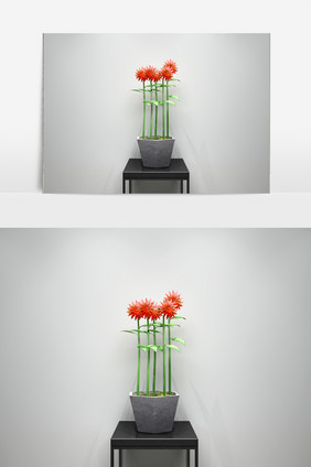 室内鲜花园艺植物3D模型