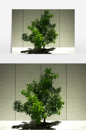 室外街景园艺植物3D模型