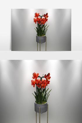 装饰花卉景观植物3D模型