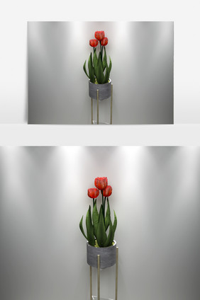 花卉景观植物装饰园艺3D模型