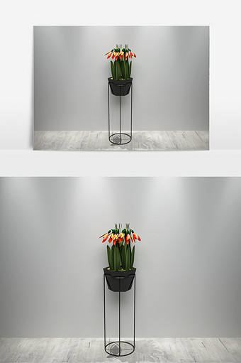 装饰花卉植物模型图片