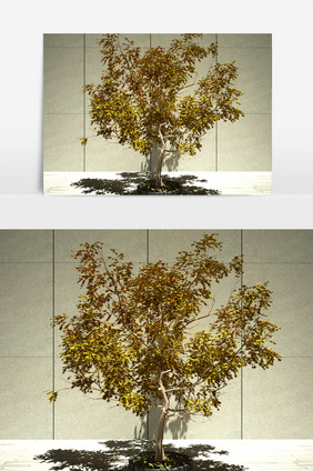 街道装饰绿化植物3D模型