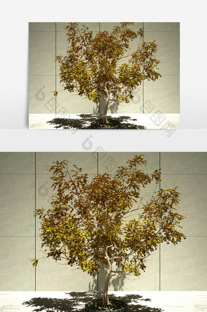 街道装饰绿化植物3D模型