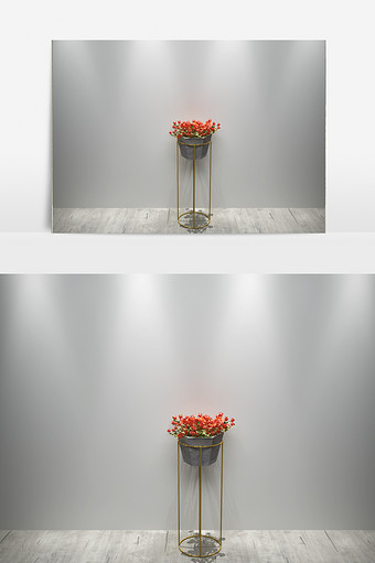 室内植物装饰花卉3D模型图片