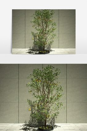 街道绿化装饰植物园艺3D模型