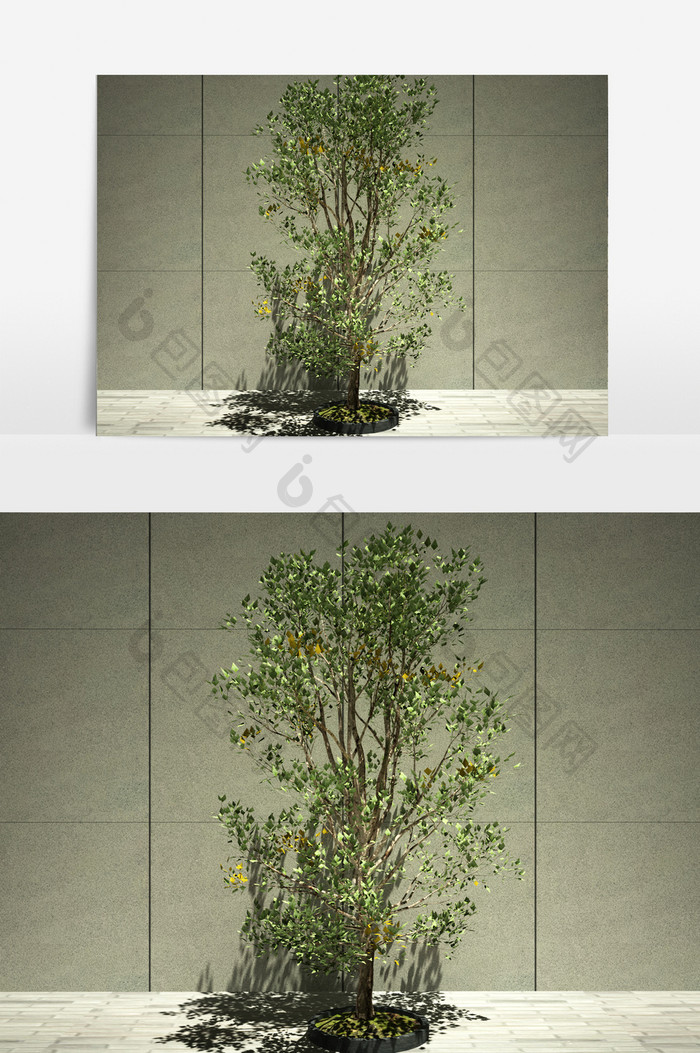 街道绿化装饰植物园艺3D模型